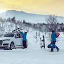 Ски багажник Thule SnowPack Extender за до 5 чифта ски