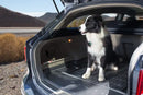 Гумена стелка за багажник Frogum Pro-Line за Renault Megane (2003-2009) Комби - Avtozona